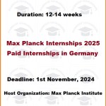 Max Planck Internships 2025