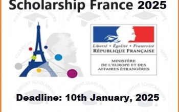 Eiffel Excellence Scholarship