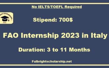 FAO Internship 2023