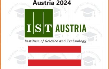 ISTernship Summer Program 2024